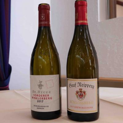 202403 Hegerneipperg 6